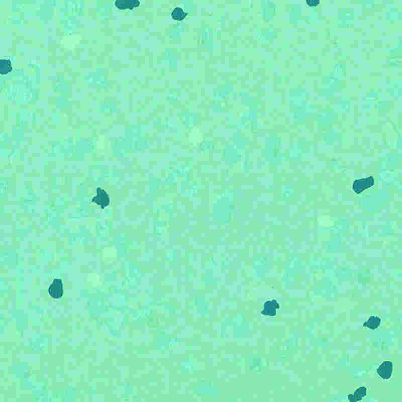 Karcálló és nagy rugalmasságú gumipadló