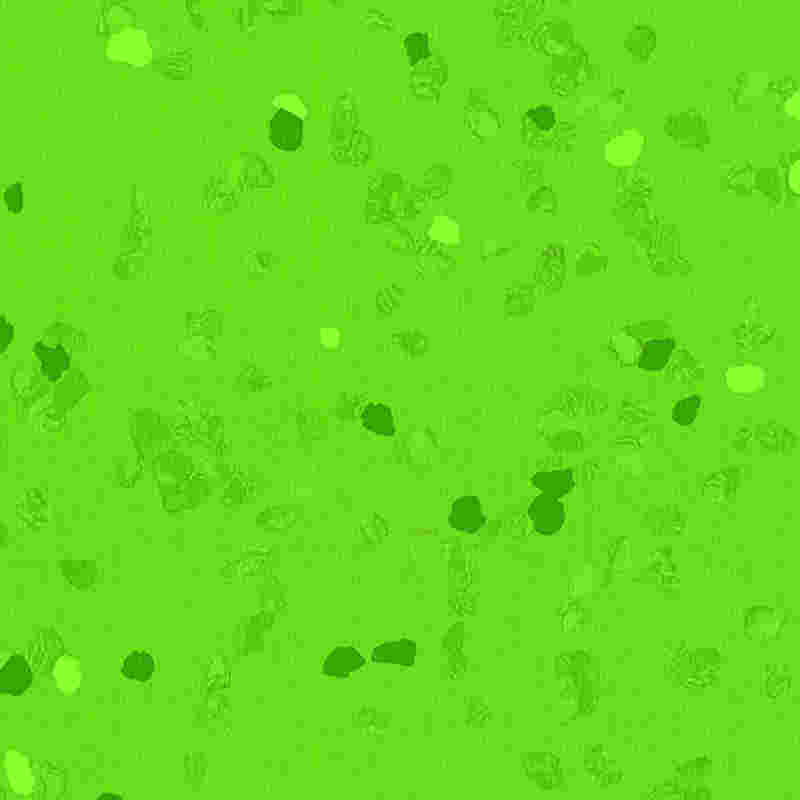 Karcálló és nagy rugalmasságú gumipadló