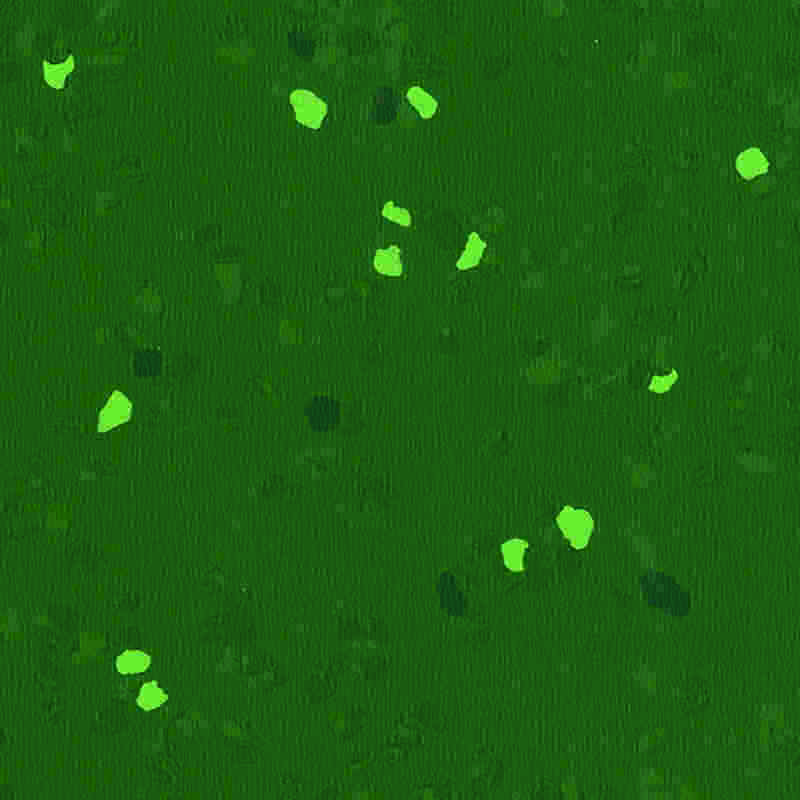 Karcálló és nagy rugalmasságú gumipadló