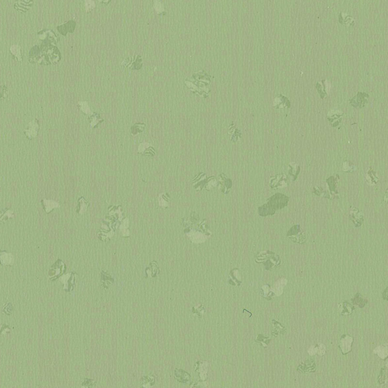 Szuper kopásálló gumipadló